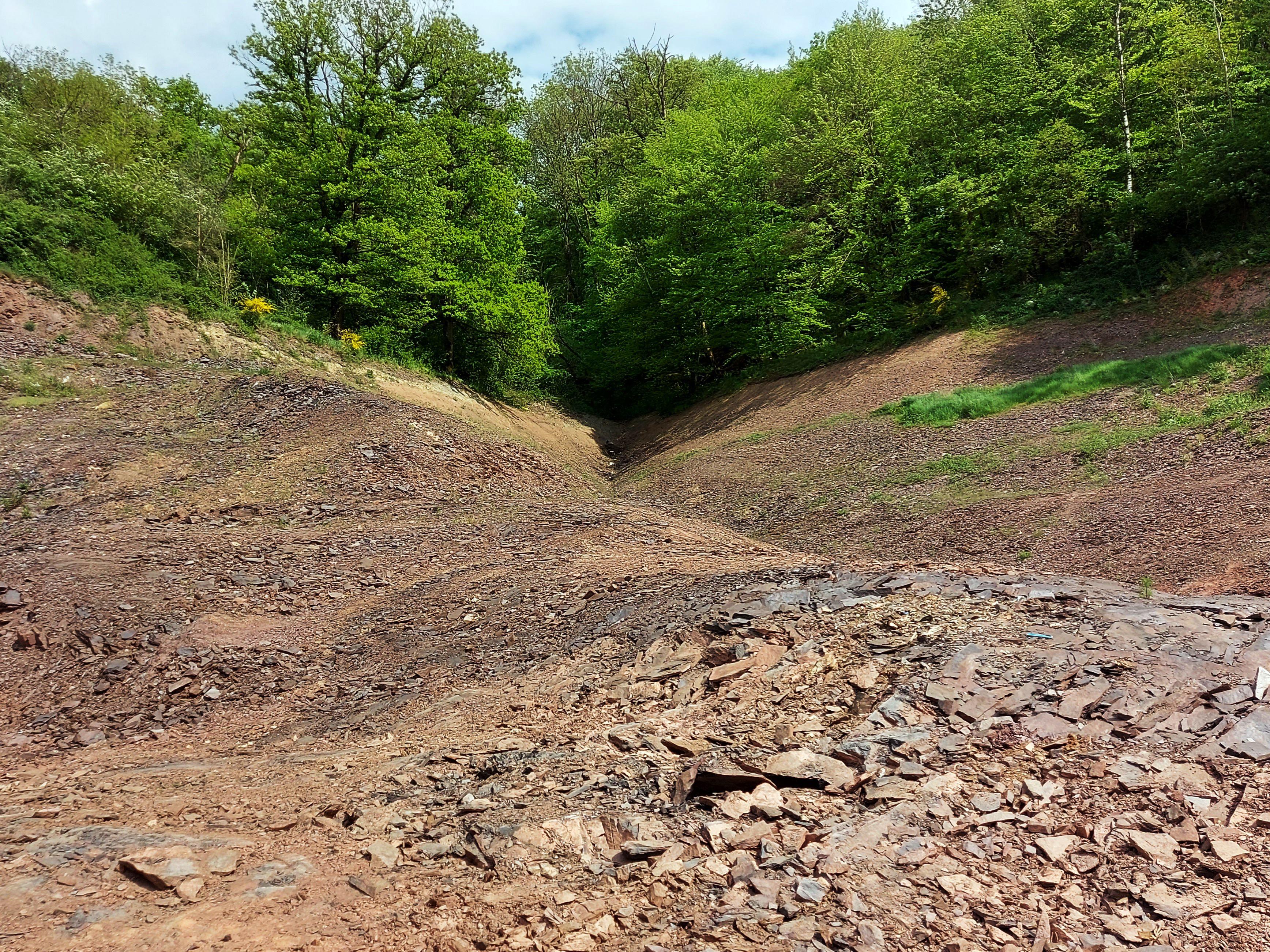 Foto3: Deponie Saarburg