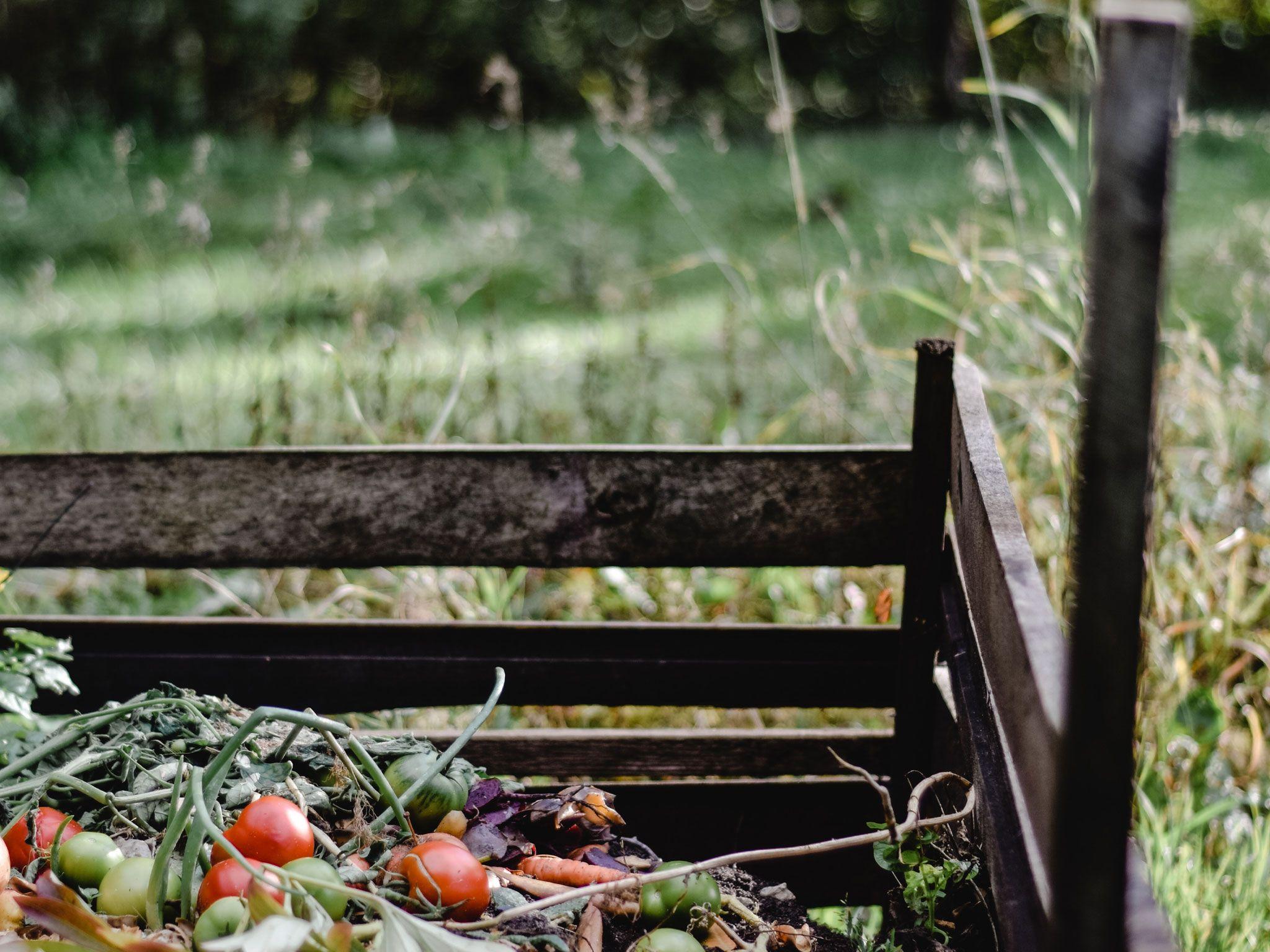 Foto2: Stadtradeln 2024