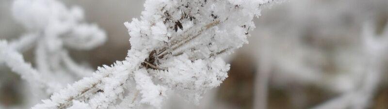 Foto4: Beeinträchtigung durch Eis und Schnee